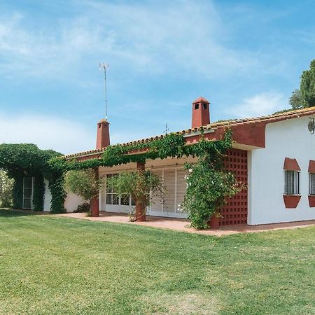 La Casita De Hato Pinos, Un Rincon En Donana Aznalcazar Ngoại thất bức ảnh