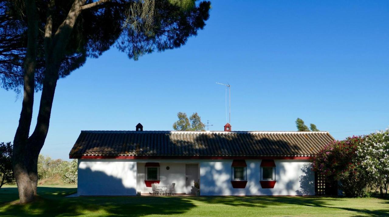 La Casita De Hato Pinos, Un Rincon En Donana Aznalcazar Ngoại thất bức ảnh