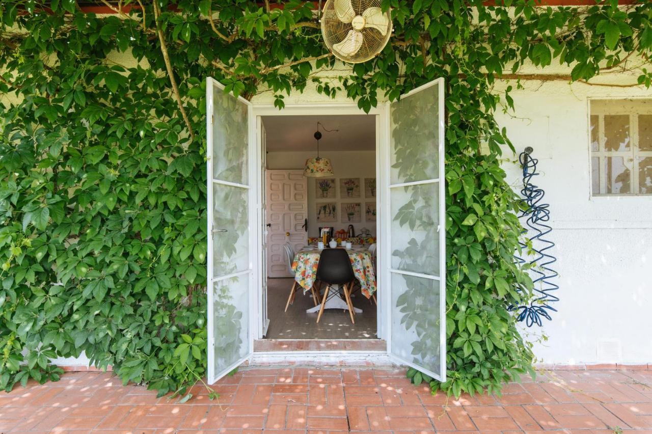 La Casita De Hato Pinos, Un Rincon En Donana Aznalcazar Ngoại thất bức ảnh